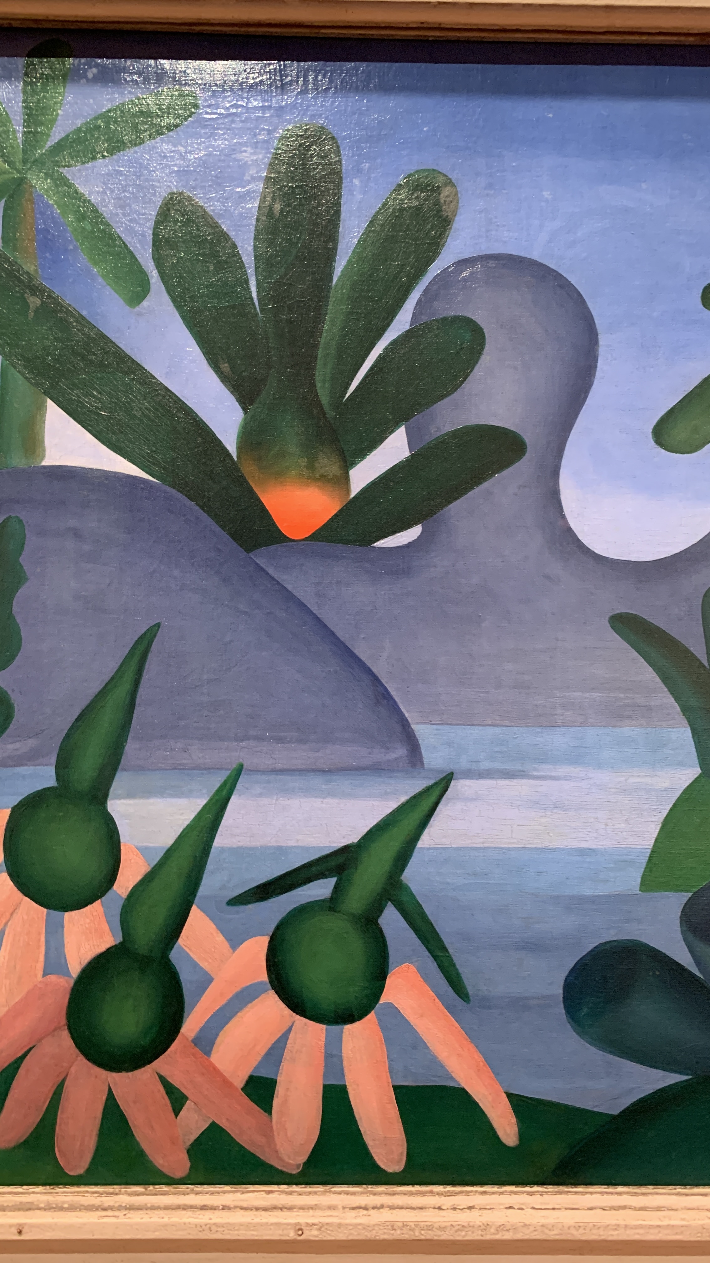 brasil brasil the birth of modernism - tarsila, the lake