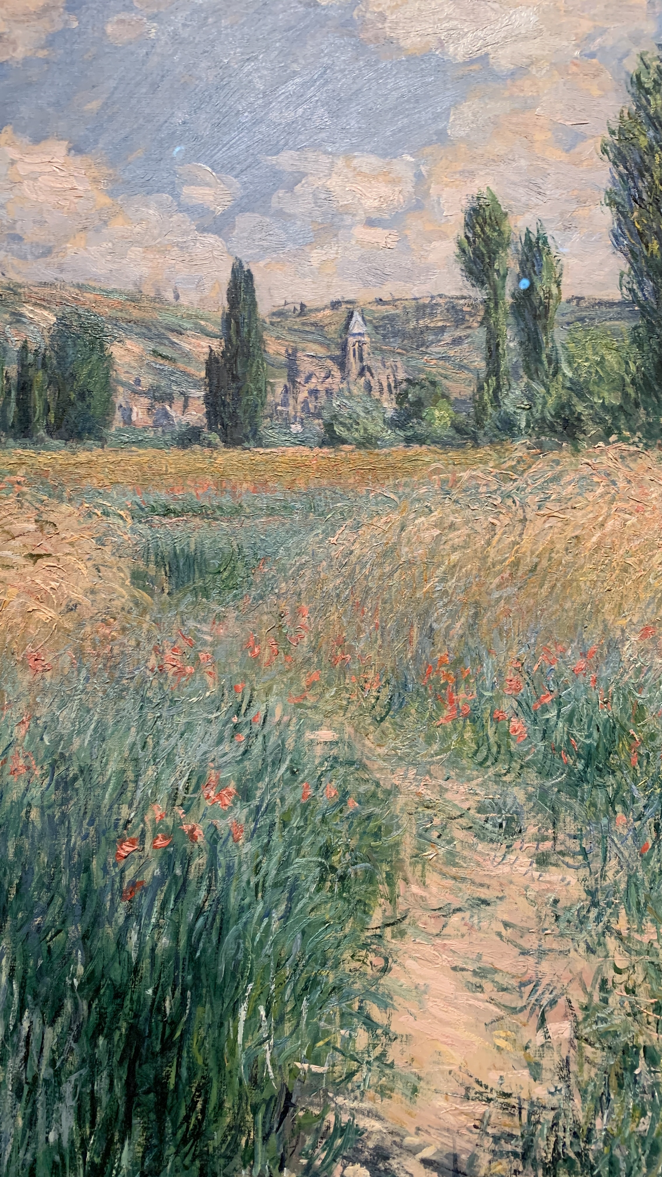 philadelphia museum of art - monet, path on the island of saint martin